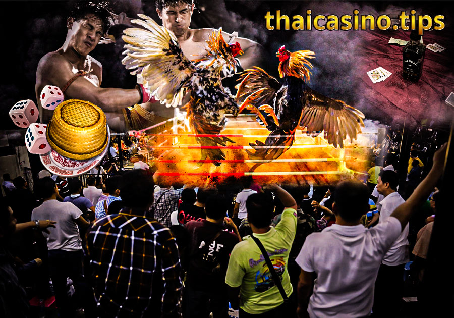 ติดต่อเรา thaicasino.tips